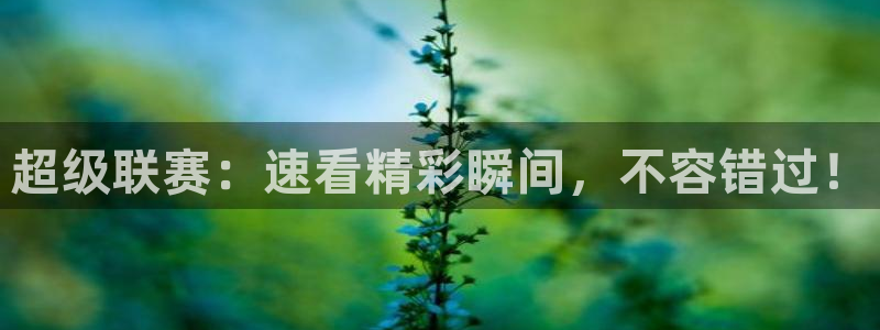 919直播看球：超级联赛：速看精彩瞬间，不容错过！