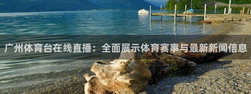 919直播间现场直播：广州体育台在线直播：全面展示体育赛事与最新新闻信息