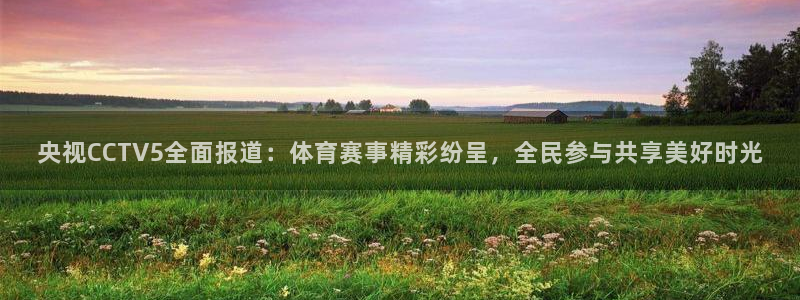 919zb体育直播：央视CCTV5全面报道：体育赛事精彩纷呈，全民参与共享美好时光