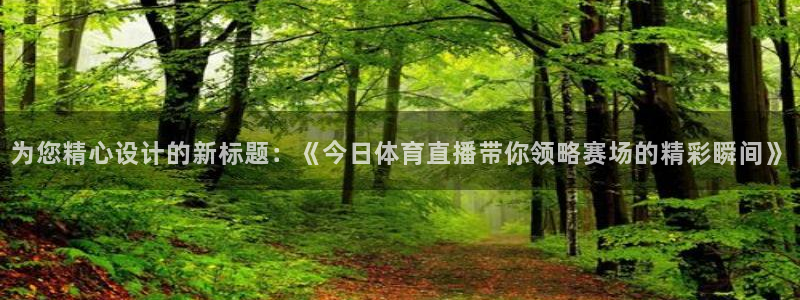 919体育直播下载