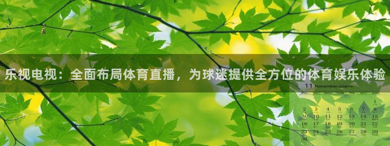 919直播吧体育：乐视电视：全面布局体育直播，为球迷提供全方位的体育娱乐体验