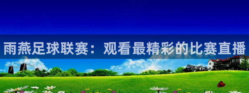 919足球直播间：雨燕足球联赛：观看最精彩的比赛直播