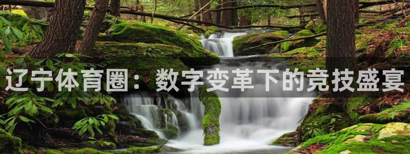 919足球直播：辽宁体育圈：数字变革下的竞技盛宴