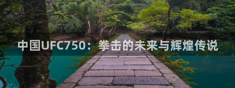 919看球直播：中国UFC750：拳击的未来与辉煌传说