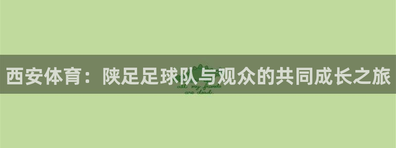 919体育直播苹果版：西安体育：陕足足球队与观众的共同成长之旅
