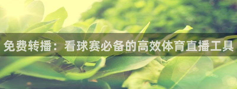919直播足球：免费转播：看球赛必备的高效体育直播工具