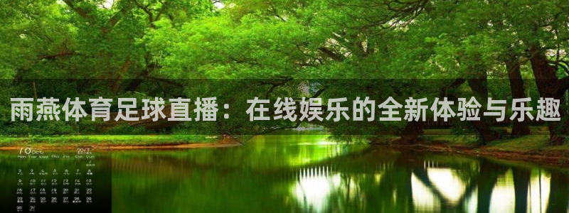 919直播间现场直播：雨燕体育足球直播：在线娱乐的全新体验与乐趣