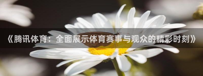 919直播看球在线观看：《腾讯体育：全面展示体育赛事与观众的精彩时刻》