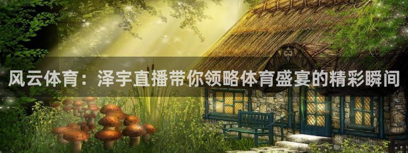 919直播体育在线直播在线看